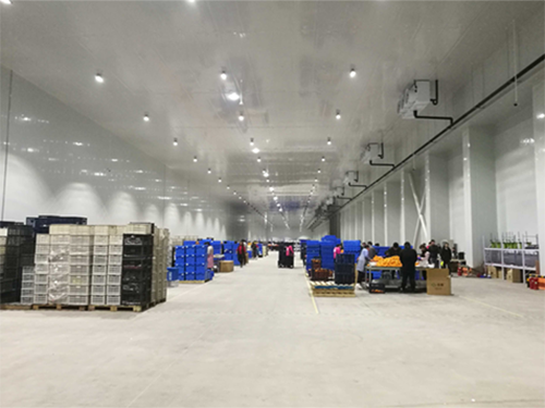 建設8000平米電商物流低溫冷藏庫費用造價是多少？