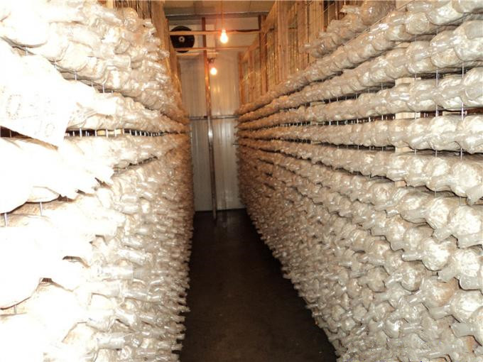 建一個(gè)100平方香菇冷庫全套要多少錢？