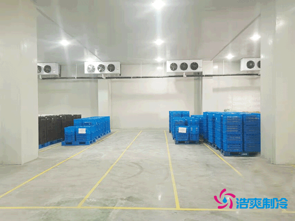 建設一個海鮮低溫冷庫造價多少錢一平方？