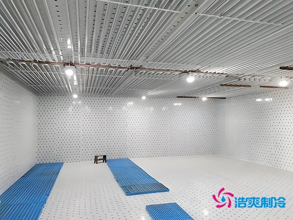 建設一個海鮮低溫冷庫造價多少錢一平方？