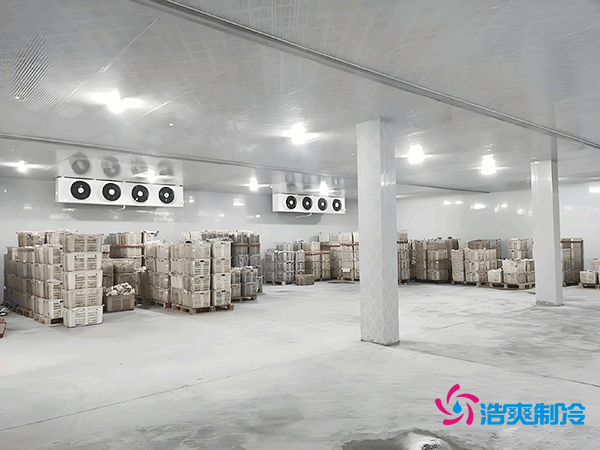 低溫冷凍庫造價指南，如何精準預算冷凍庫建造成本？