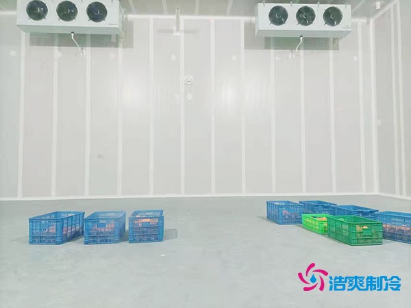200噸蔬菜保鮮冷庫造價多少錢？需要多大面積？