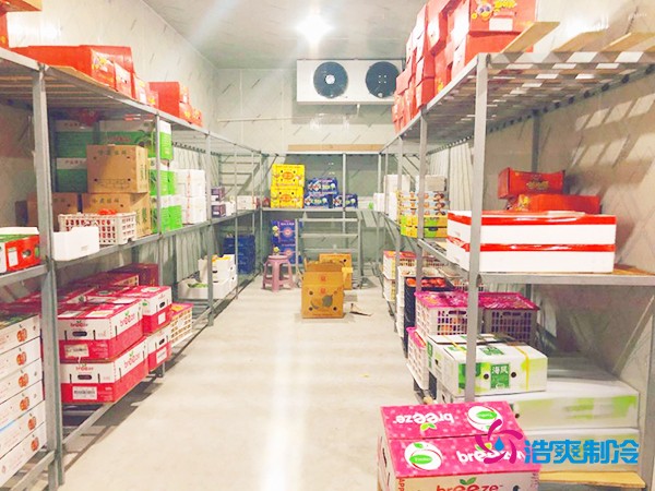 5噸水果需要多大冷庫？答案出乎意料！