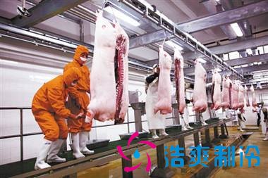 3000立方凍肉冷庫設計造價費用是多少?由于國家對冷鏈物流的重視,冷鏈物流行業的發展逐漸增長趨勢,冷鏈物流也正在慢慢改變人們的生活。