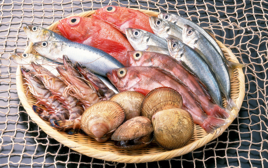 冰鮮海鮮冷庫(kù)造價(jià),5000平方米冷凍庫(kù)總投資多少