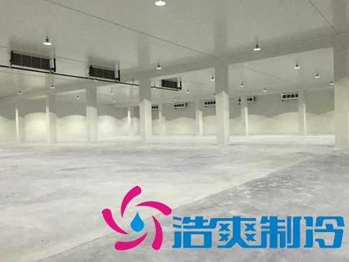 5000平米生鮮物流冷庫設計,冷庫設備安裝成本多少錢