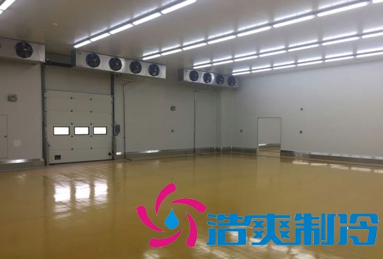 1000平米雪糕冷庫(冰淇淋冷凍庫)建造多少錢一平米
