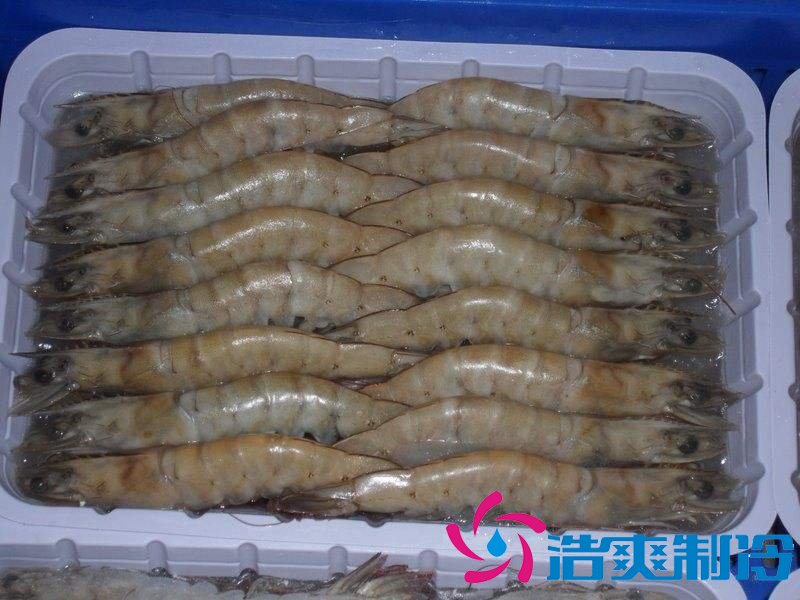 -18℃~-25℃冷凍食品低溫倉儲設備安裝費用多少錢