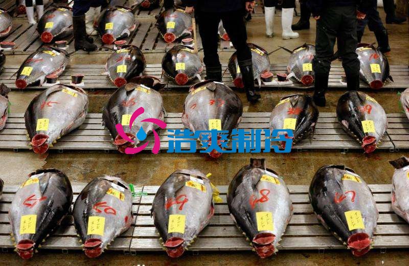 浩爽制冷，金槍魚冷庫，超低溫冷凍庫